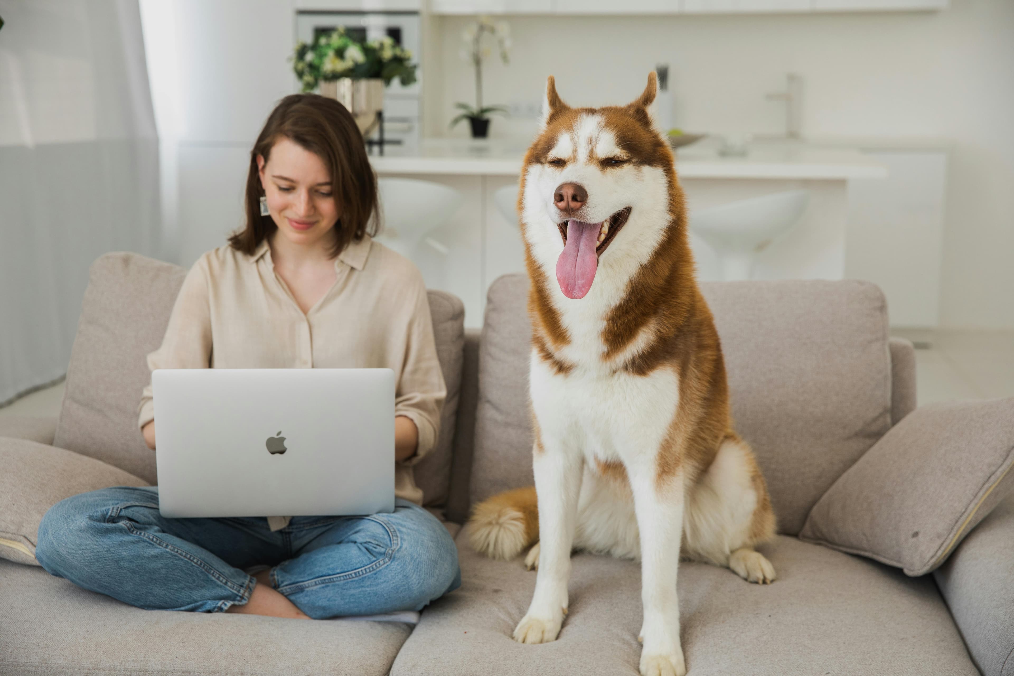 AI Vet Chat: Revolutionizing Pet Care with PawTrack